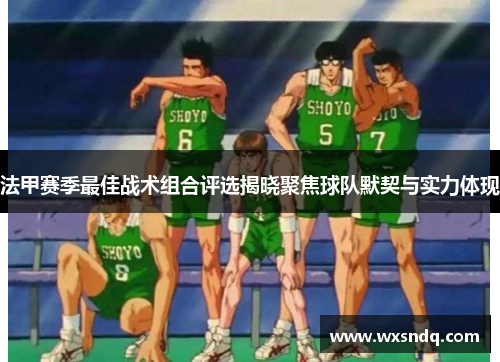 法甲赛季最佳战术组合评选揭晓聚焦球队默契与实力体现