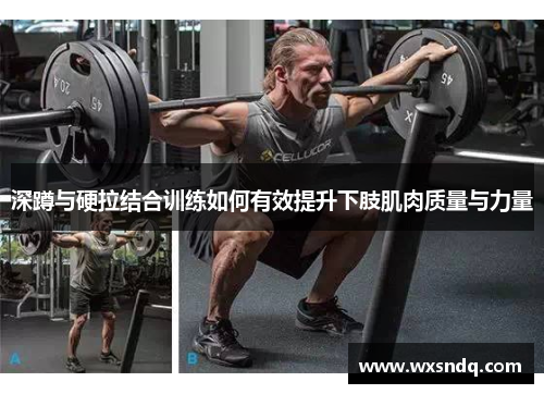 深蹲与硬拉结合训练如何有效提升下肢肌肉质量与力量