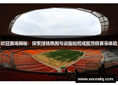 欧冠赛场揭秘：探索球场氛围与设施如何成就顶级赛事体验