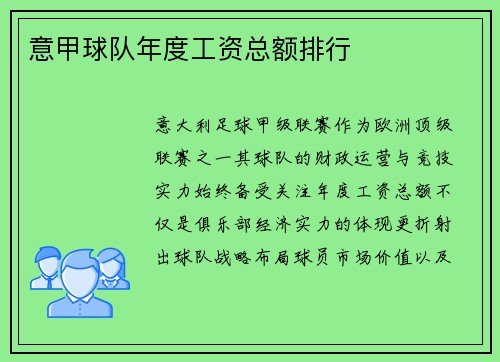 意甲球队年度工资总额排行