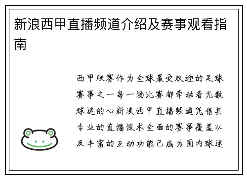 新浪西甲直播频道介绍及赛事观看指南