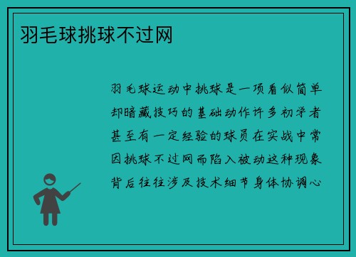 羽毛球挑球不过网